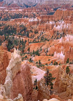 Bryce Canyon