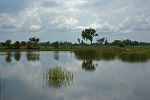 Bosque Redondo Lake