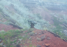 Hoodoo in the Fog