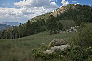 Mountain Meadow