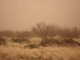 Sand Storm