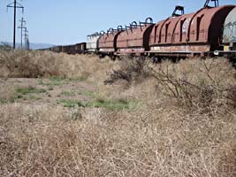 Train, Reeves County, Texas